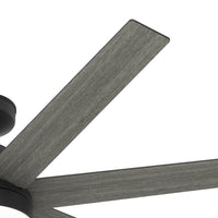 60 inch Phenomenon Wi-Fi ENERGY STAR® Matte Black Ceiling Fan with LED Light Kit and Wall Control