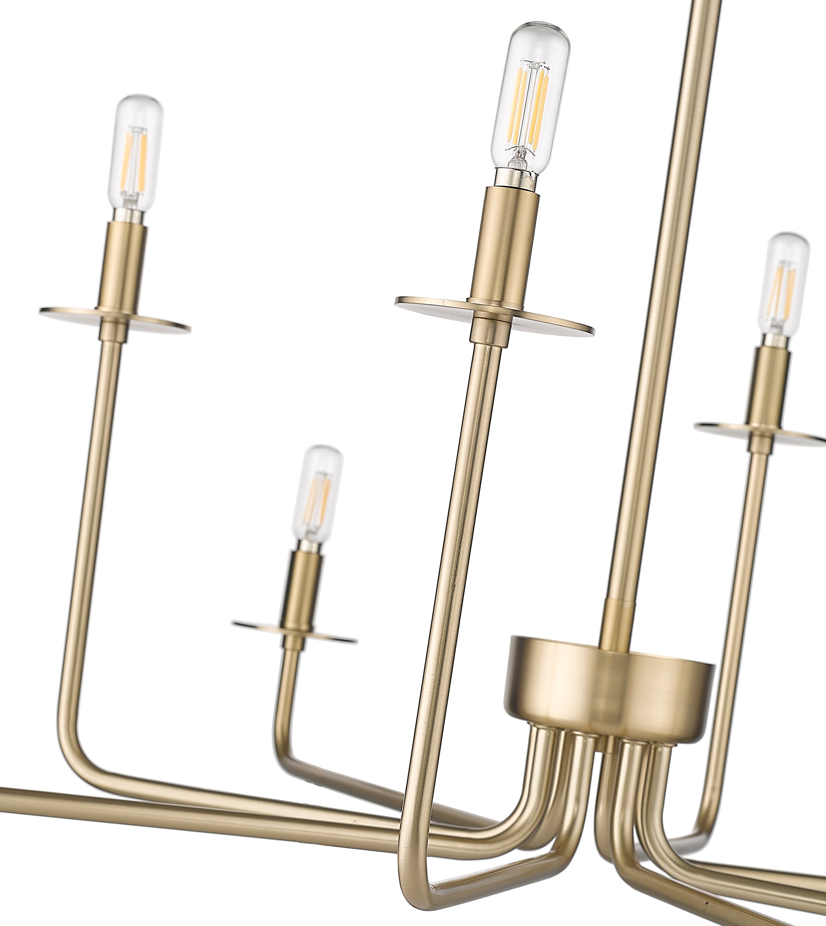 22'' Marceline Modern Gold 8 Light Chandelier