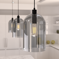 Lochemeade 9-inch 1-light Natural Black Iron Pendant with Smoked Glass