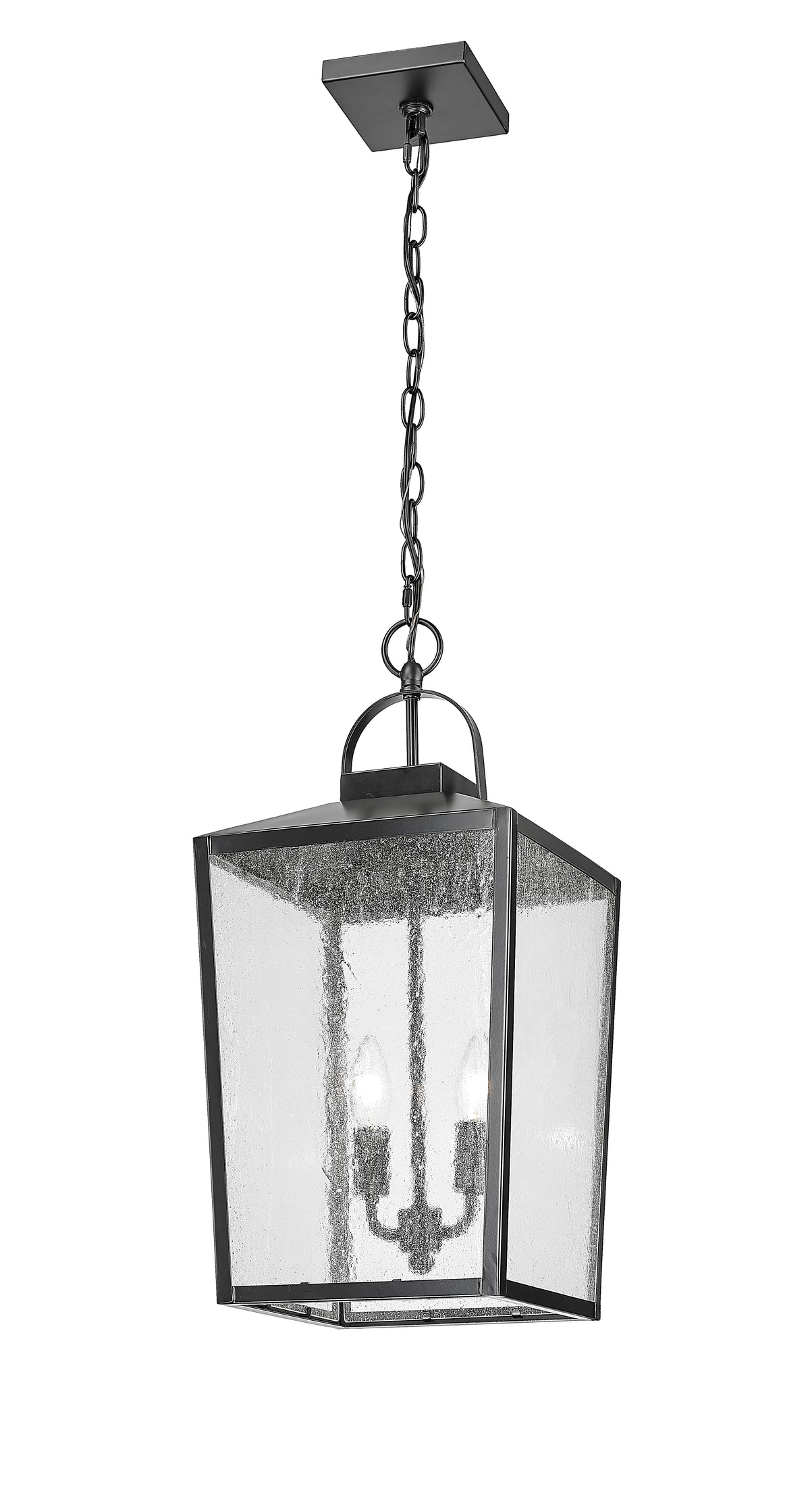 22-inch Devens Powder Coated Black 2-Light Outdoor Hanging Lantern with Clear Seeded Glass