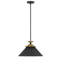 Tremolo 16-inch 1-light Textured Black and Champagne Gold Pendant Light