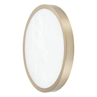 Argyle 16-inch Champagne Gold and Natural Alabaster 5CCT LED Flush Mount