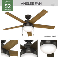52 inch Anslee Premier Bronze Ceiling Fan with LED Light Kit and Pull Chain