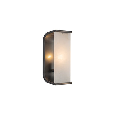 abbott-10-in-steel-vanity-light