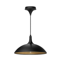 Abel 14-in Steel Dome Shade Pendant