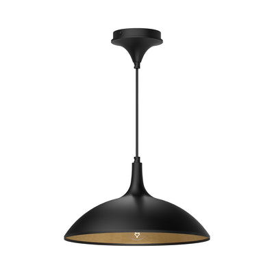 Abel 14-in Steel Dome Shade Pendant