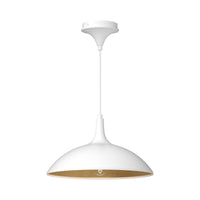 Abel 14-in Steel Dome Shade Pendant