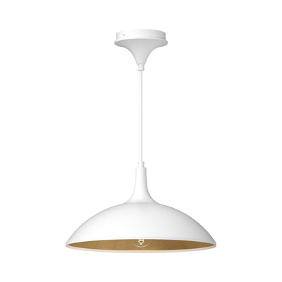 Abel 14-in Steel Dome Shade Pendant