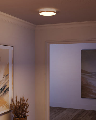Adelaide 11-in Aluminum Flush Mount