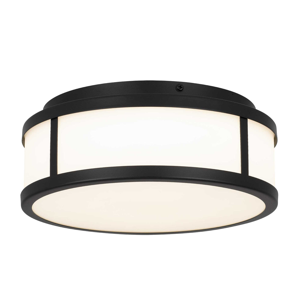 10-Inch Sand Black Panel Round Outdoor LED Flush Mount