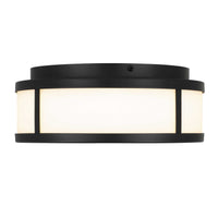10-Inch Sand Black Panel Round Outdoor LED Flush Mount