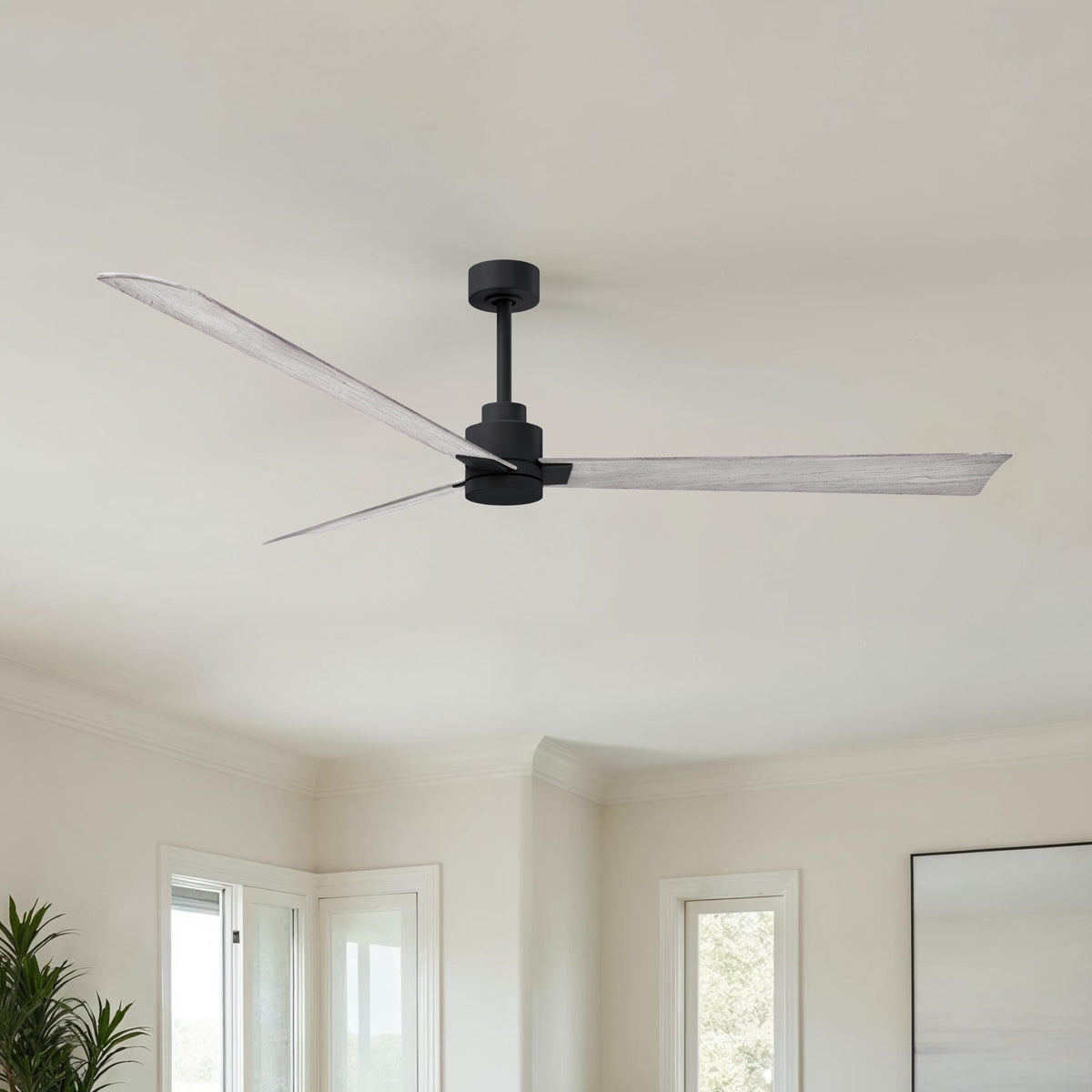 Alessandra 3-Blade Ceiling Fan Without Light Kit