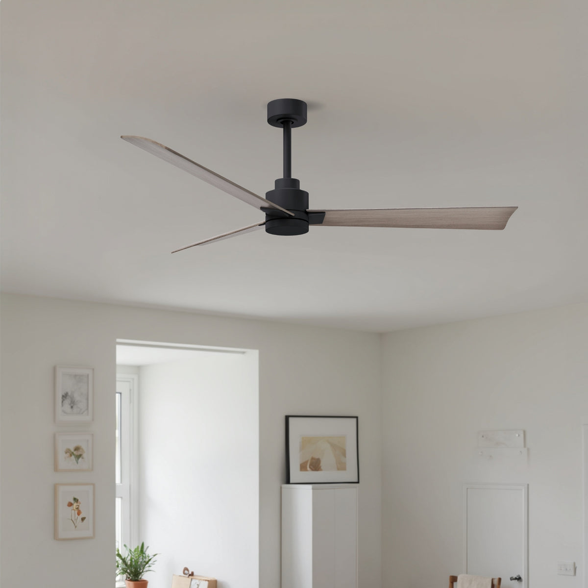 Alessandra 3-Blade Ceiling Fan Without Light Kit