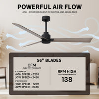 Alessandra 3-Blade Ceiling Fan Without Light Kit
