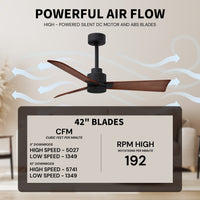 Alessandra 3-Blade Ceiling Fan Without Light Kit