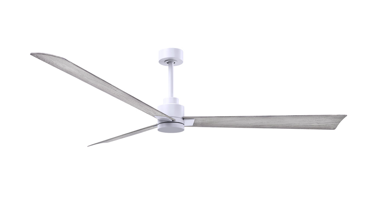 alessandra-3-blade-ceiling-fan-without-light-kit