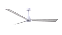 alessandra-3-blade-ceiling-fan-without-light-kit