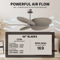 Alessandra Tropical 5-Blade Ceiling Fan Without Light Kit