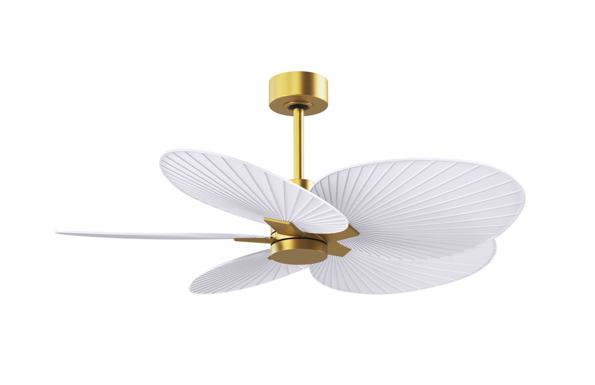 alessandra-tropical-5-blade-ceiling-fan