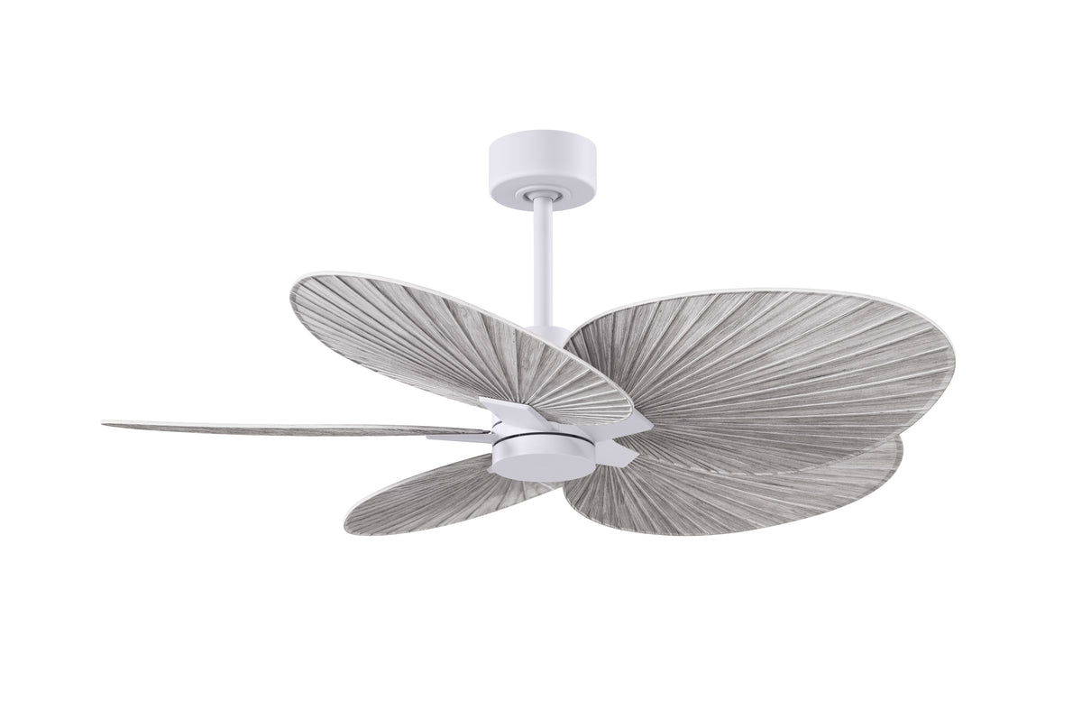 alessandra-tropical-5-blade-ceiling-fan