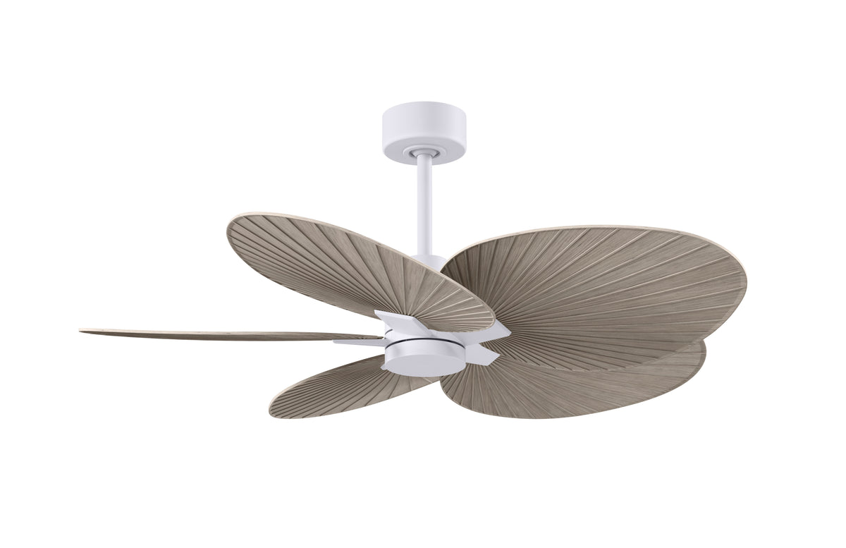 alessandra-tropical-5-blade-ceiling-fan