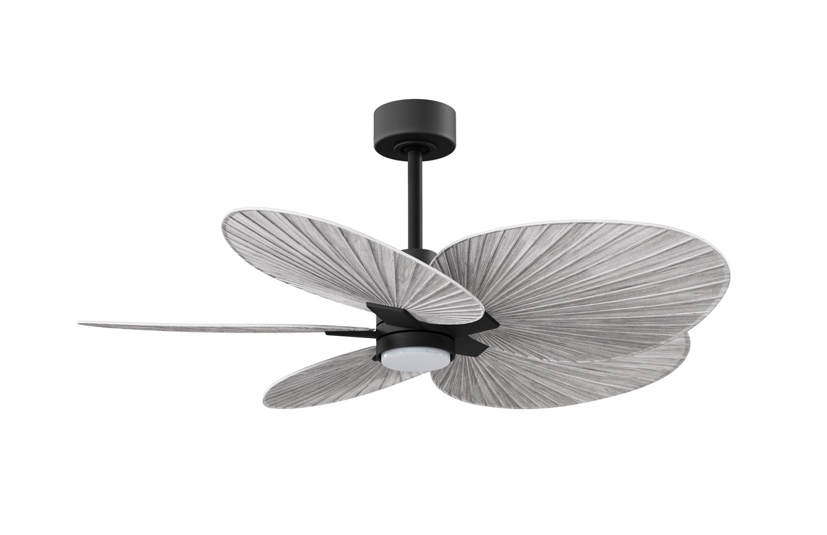 Alessandra Tropical 5-Blade Ceiling Fan with LED Light