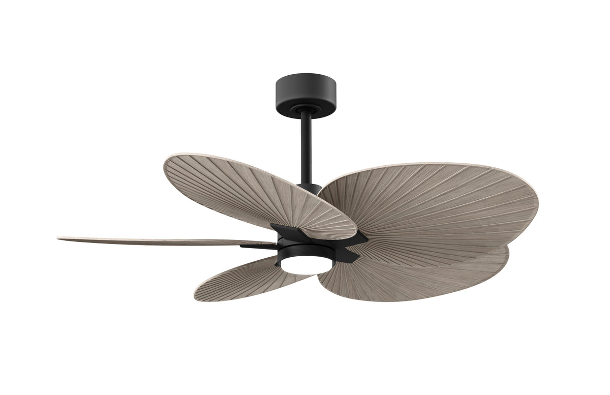 alessandra-tropical-5-blade-ceiling-fan-with-led-light