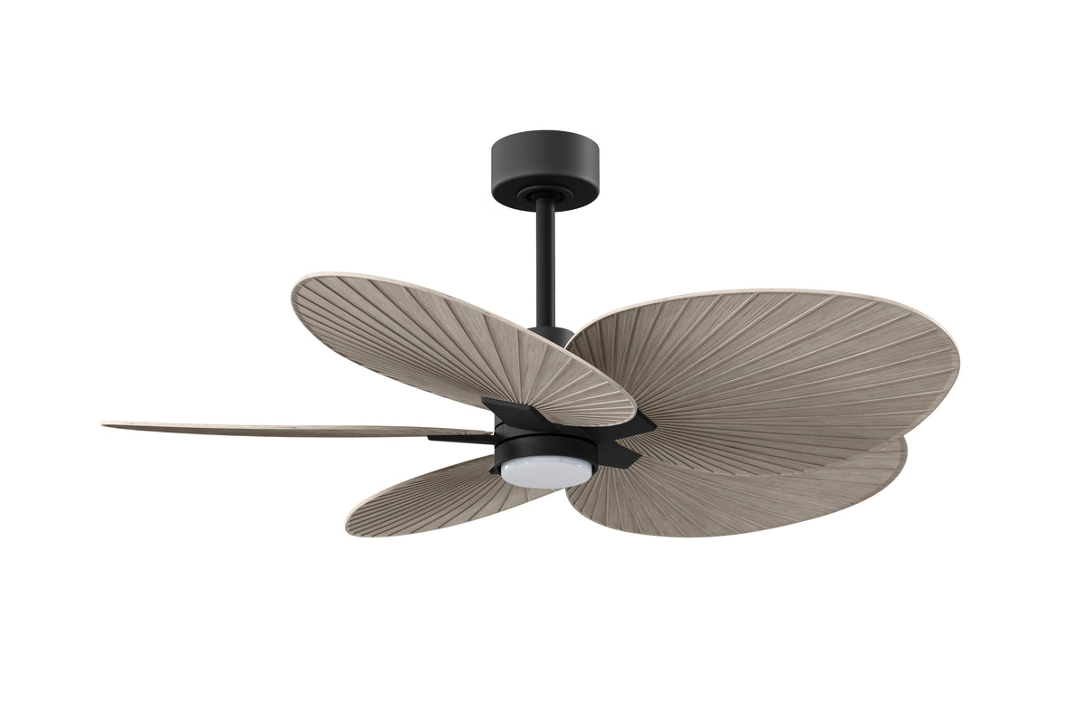 Alessandra Tropical 5-Blade Ceiling Fan with LED Light