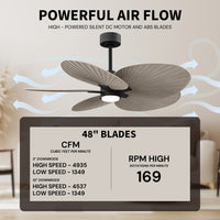 Alessandra Tropical 5-Blade Ceiling Fan with LED Light