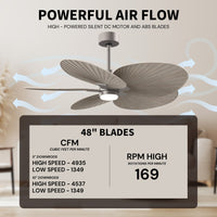 Alessandra Tropical 5-Blade Ceiling Fan with LED Light