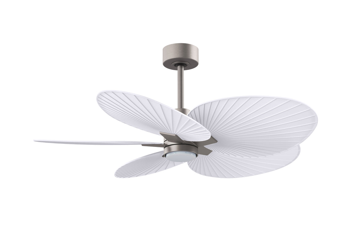Alessandra Tropical 5-Blade Ceiling Fan with LED Light