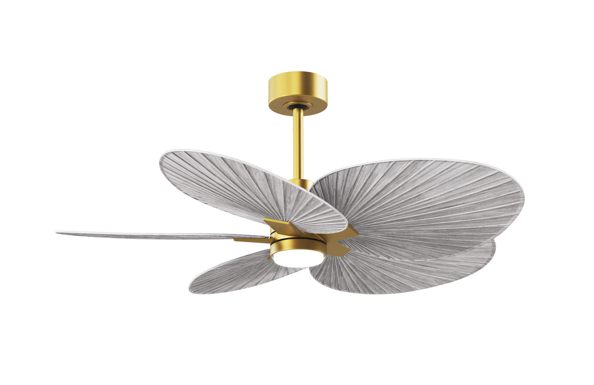 alessandra-tropical-5-blade-ceiling-fan-with-led-light