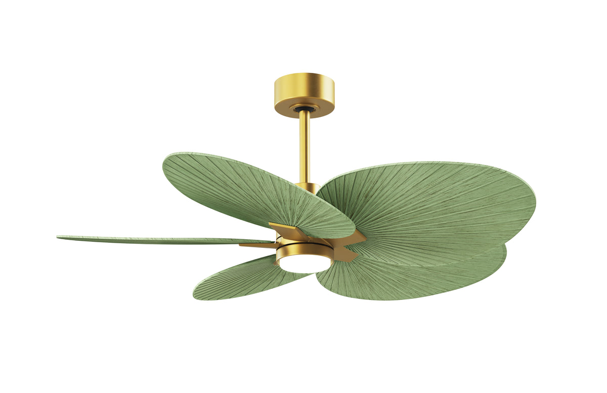 alessandra-tropical-5-blade-ceiling-fan-with-led-light