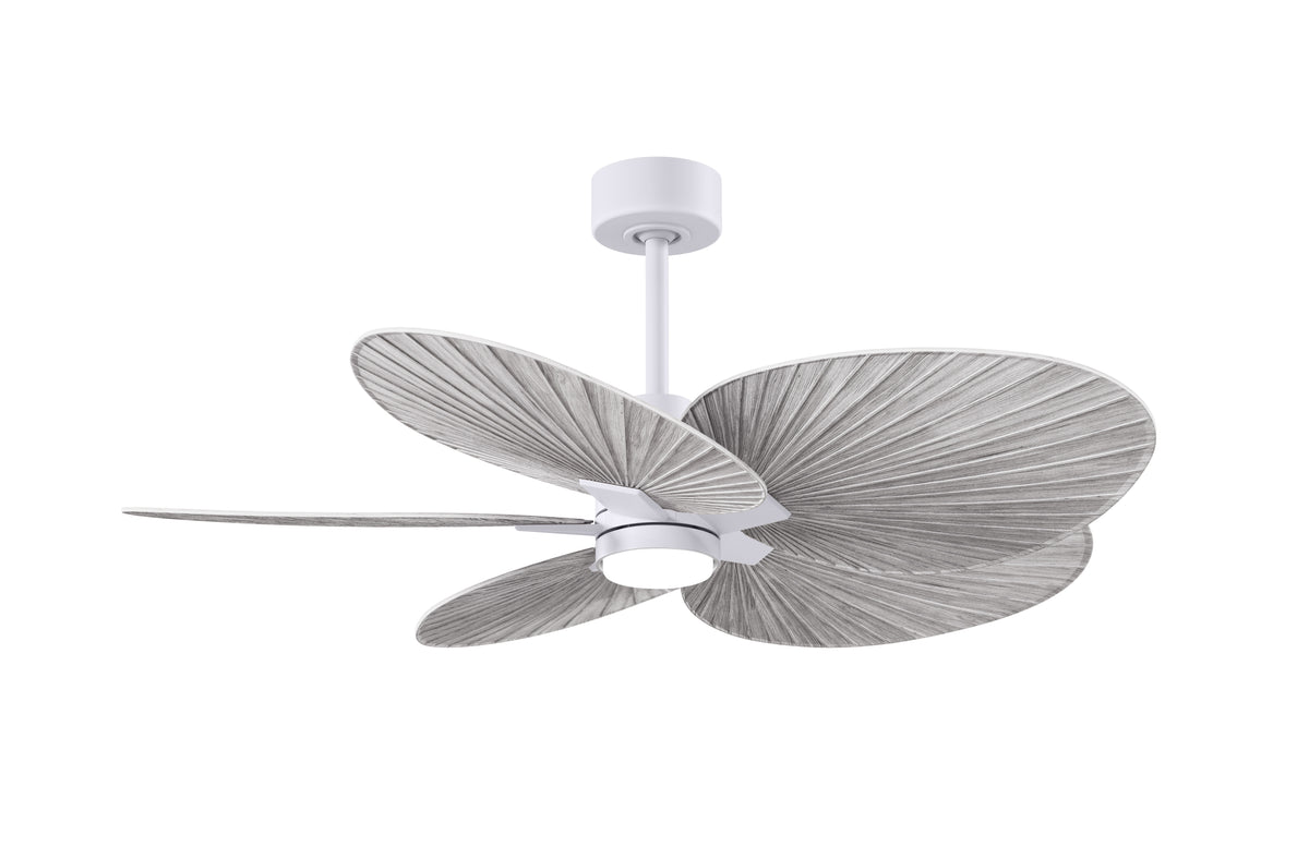 alessandra-tropical-5-blade-ceiling-fan-with-led-light
