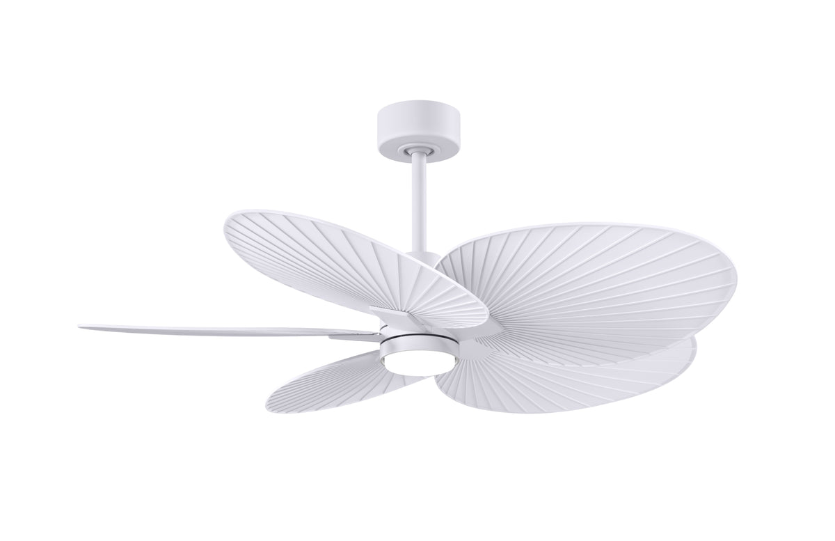 alessandra-tropical-5-blade-ceiling-fan-with-led-light