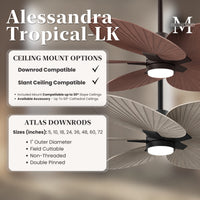 Alessandra Tropical 5-Blade Ceiling Fan with LED Light