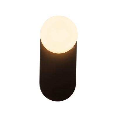 Ariel 12-in Steel Vanity Light