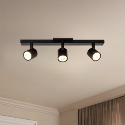 Arnold 3-Head Aluminum Track Light