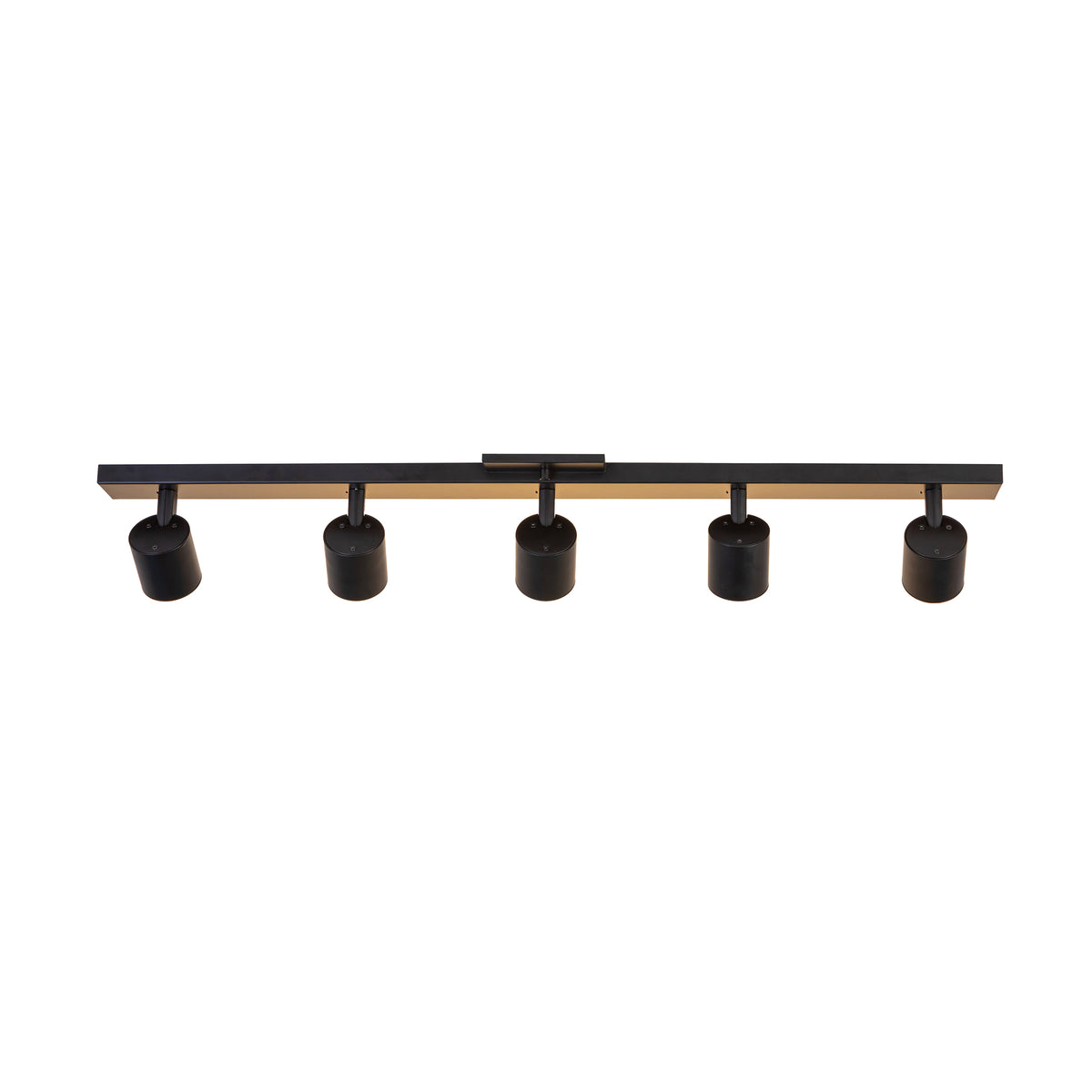 Arnold 5-Head Aluminum Track Light