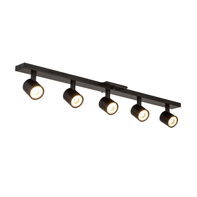 Arnold 5-Head Aluminum Track Light