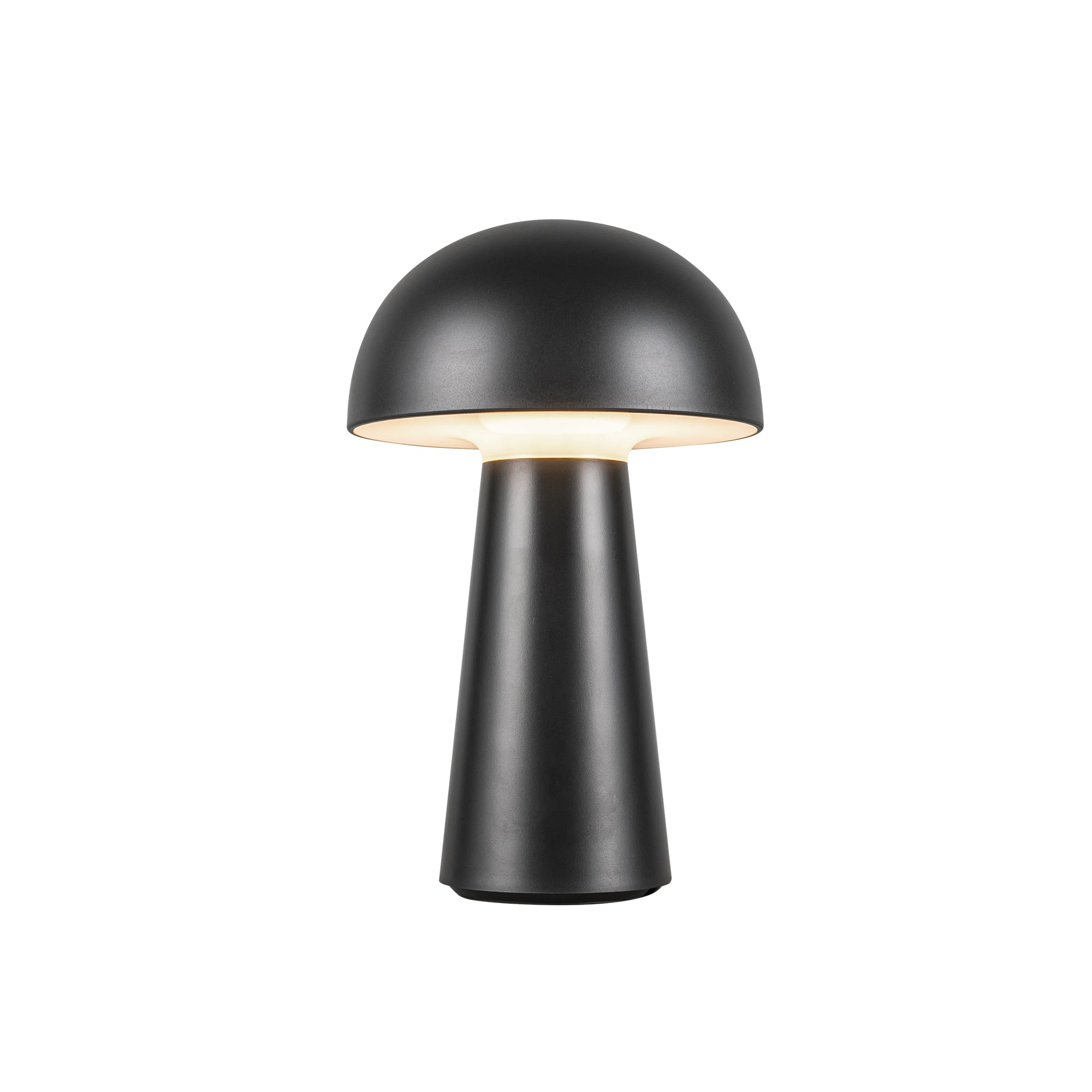 Asher 8-in Polymeric Material Table Lamp