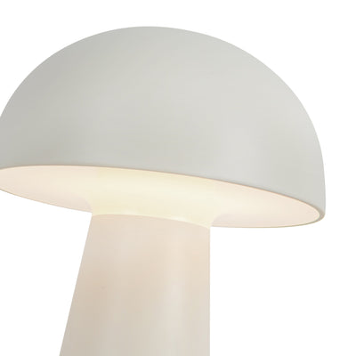 Asher 8-in Polymeric Material Table Lamp