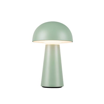 Asher 8-in Polymeric Material Table Lamp