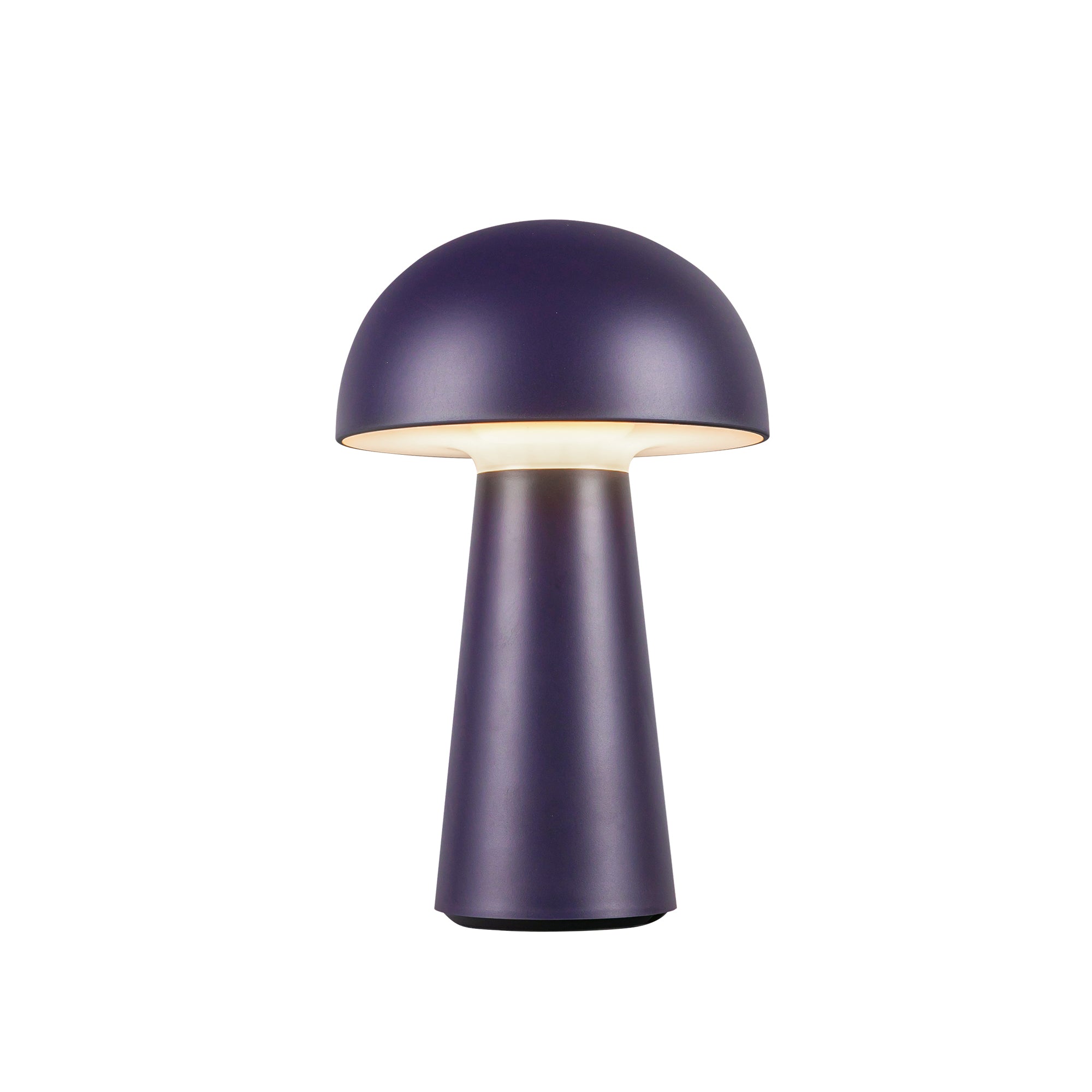 Asher 8-in Polymeric Material Table Lamp