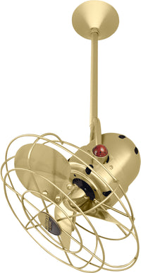 Bianca Direcional Directional Ceiling Fan