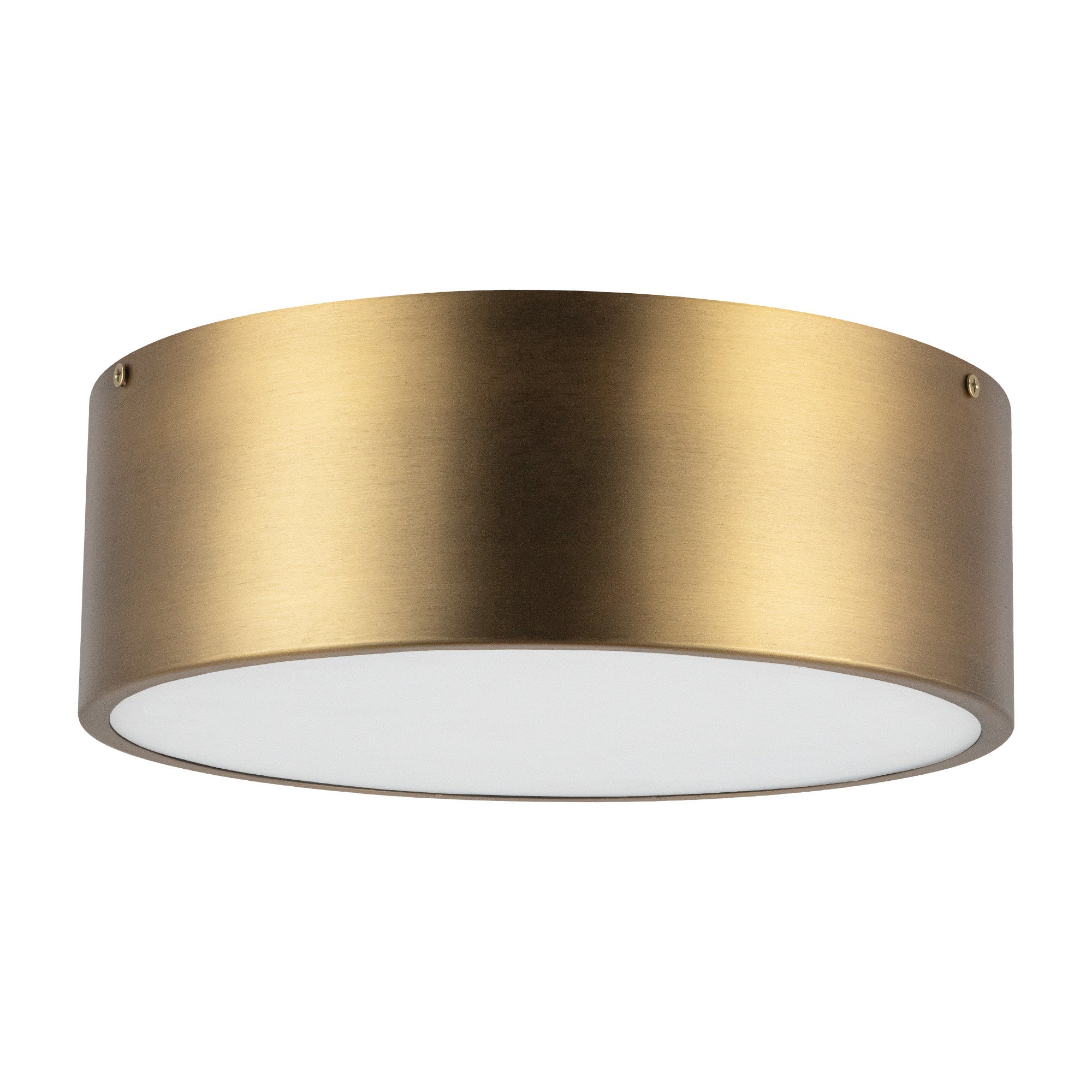 Brisbane 12-in 2 lights Steel Flush Mount