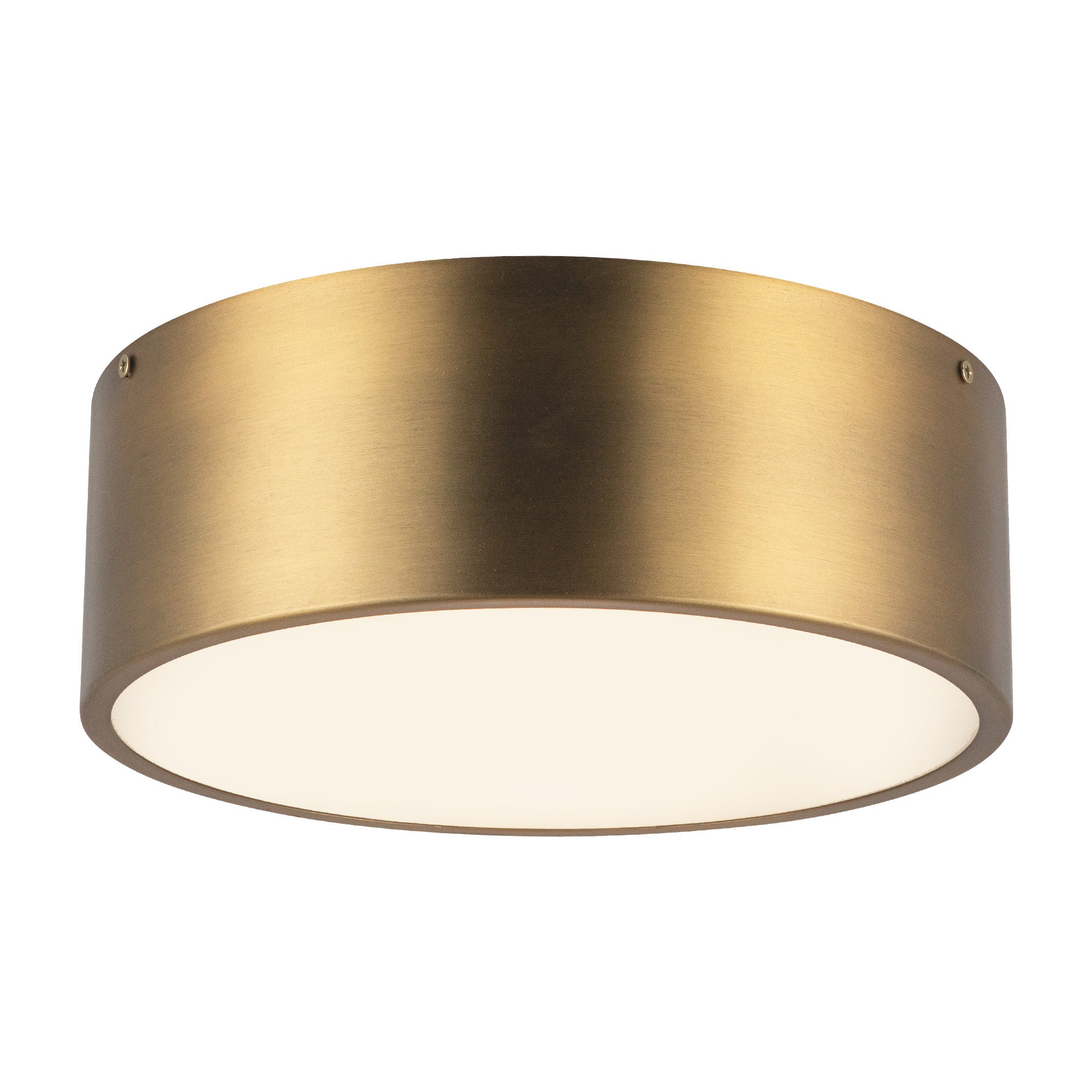 Brisbane 12-in 2 lights Steel Flush Mount