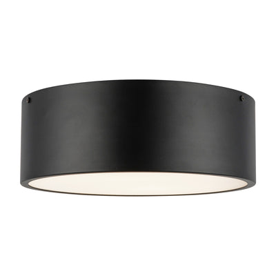 brisbane-12-in-2-lights-steel-flush-mount