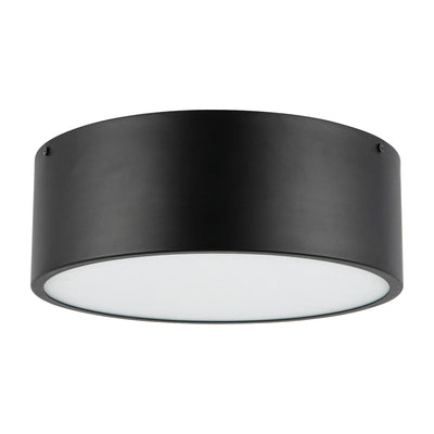 Brisbane 12-in 2 lights Steel Flush Mount