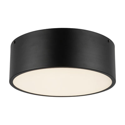 Brisbane 12-in 2 lights Steel Flush Mount
